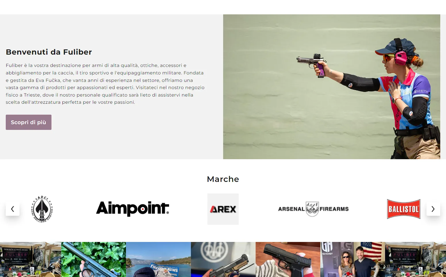 Fuliber: About display on homepage
