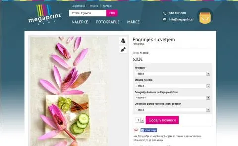 Megaprint stran artikla