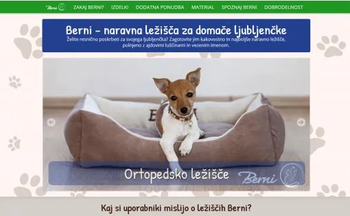 Berni