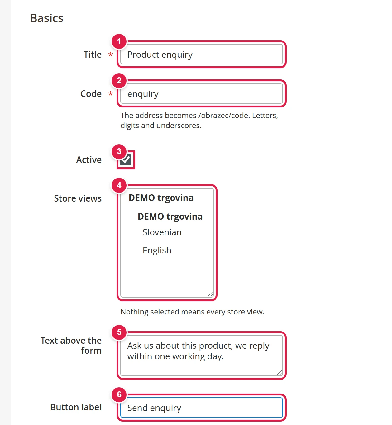 The Basics section of the enquiry form