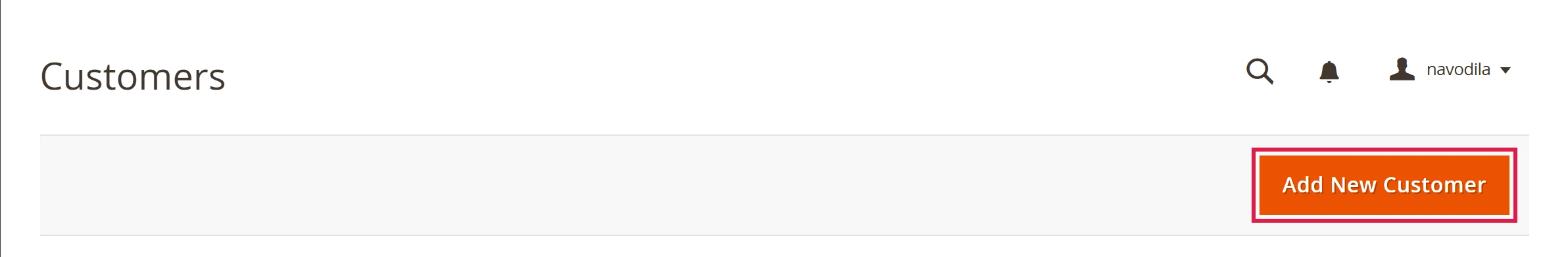 Customer list with the Add New Customer button
