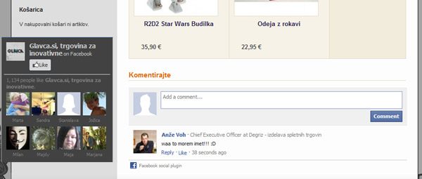 Comments in the online store
