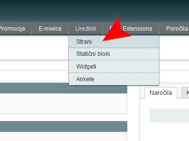 Magento adding static content