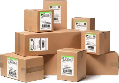 Web Store Sales