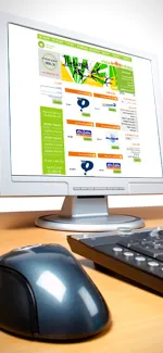 Website development