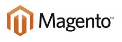 Magento online store for sales growth