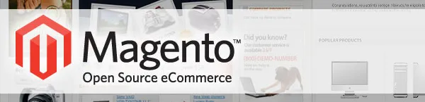 Why online stores on Magento?